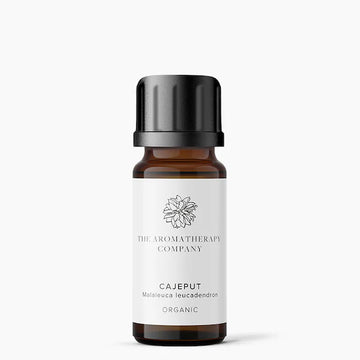 白千層有機精油 Cajeput Organic Essential Oil 10ml